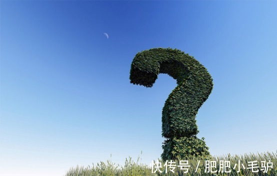 外包|为什么外包拼多多客服受欢迎？外包有哪些好处？
