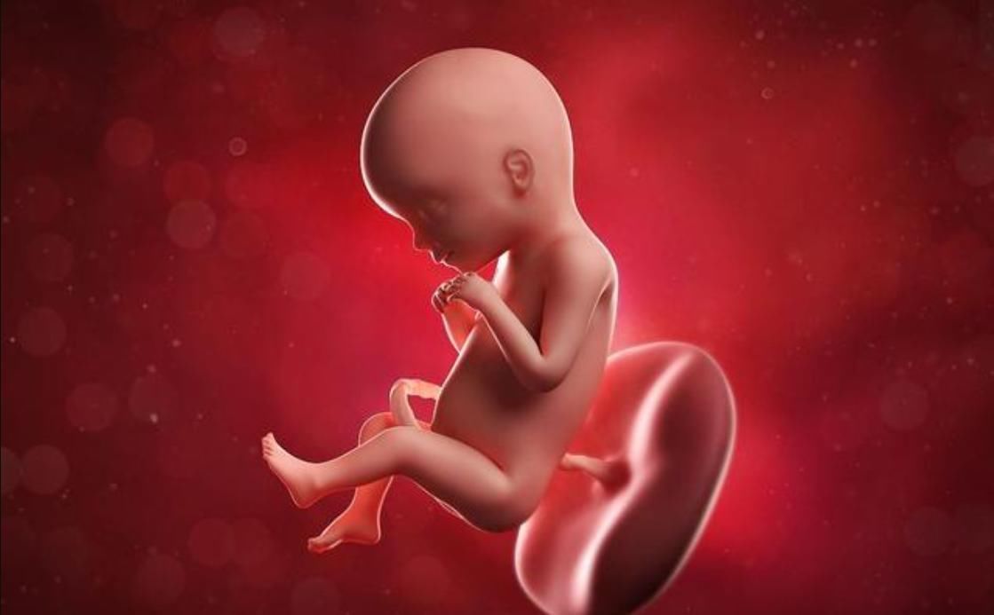 好孕|怀男孩的宝妈,身上有这4大特征,赶快接好孕吧!