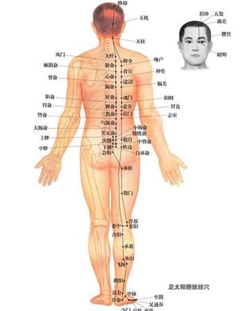  如何简单的认识十二经络,经络介绍说明