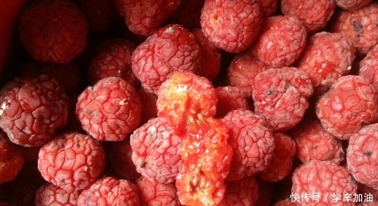 与紫檀木齐名的“帝王树”,果实长似荔枝,树芯是上好的家具材料!