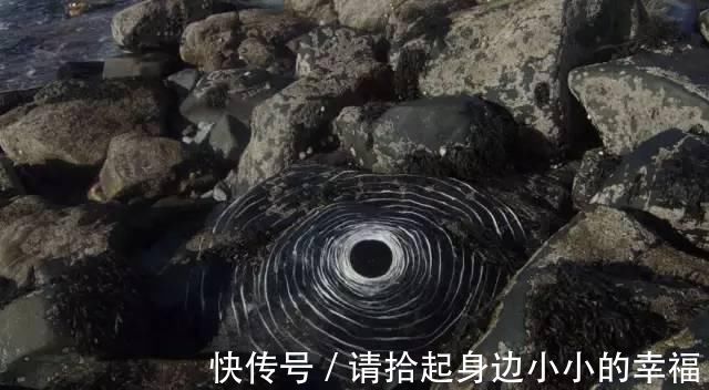 艺术家|他用最简单的树叶、石头、羽毛,建了一座美到极致的自然美术馆