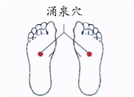 养生|“小暑大暑，上蒸下煮”！小暑过，三伏天到，健康养生要趁热