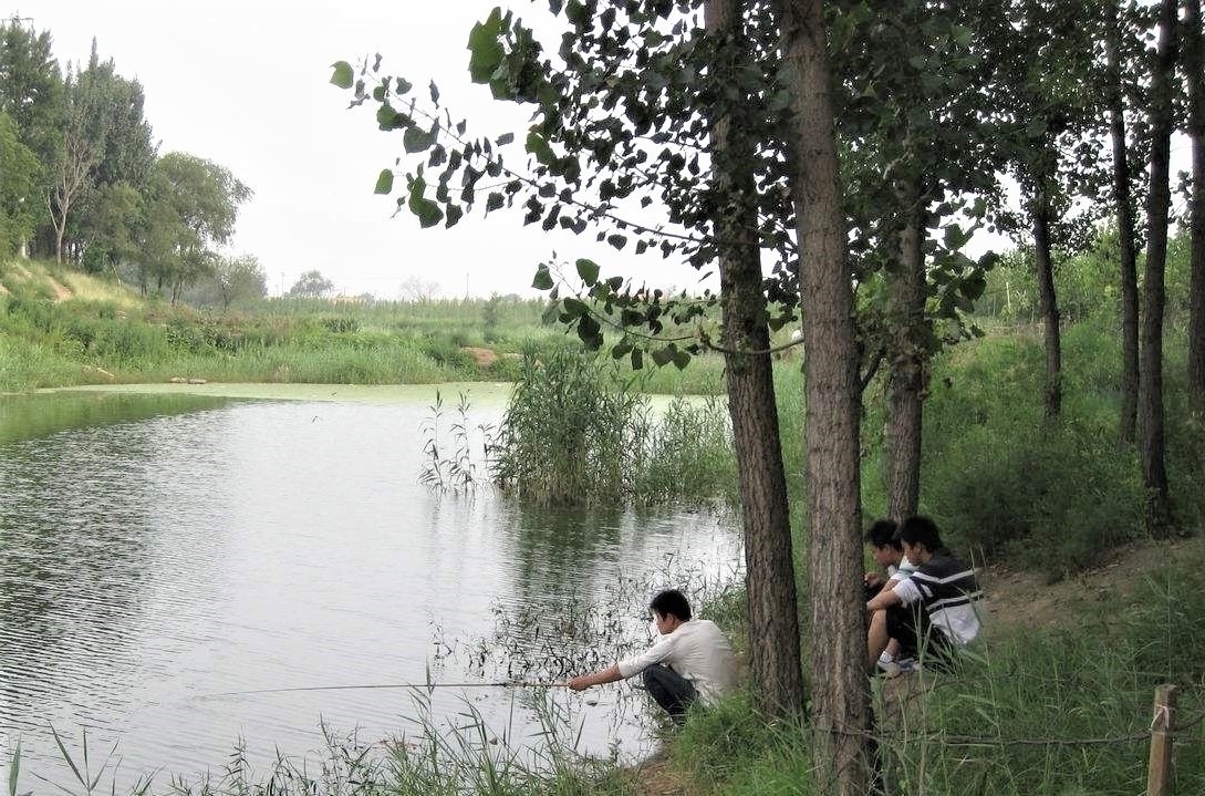 窝点|夏季野钓，突然无鱼口，不是钓技不好，原来是这几种因素