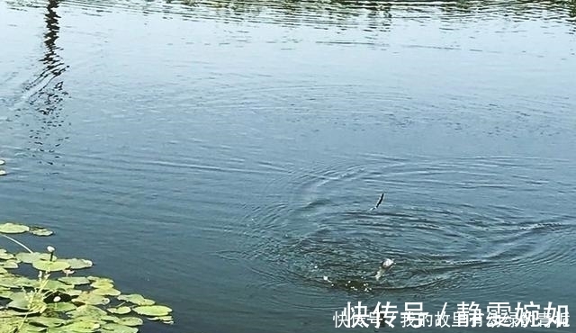 新手钓友牢记钓鱼7忌，虽然不能助你多钓鱼，但也能不让你放炮