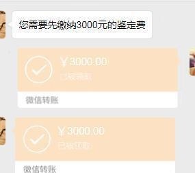 仰仗|老套路 新手法|你所仰仗的“鉴宝专家”可能只有小学文化……