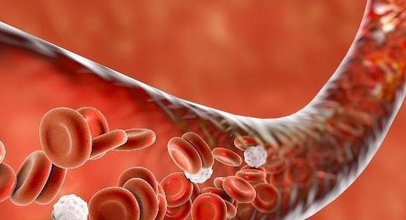 误区|枸杞“这样吃”就是找病!“一不喝、三不吃”,逃离枸杞养生误区