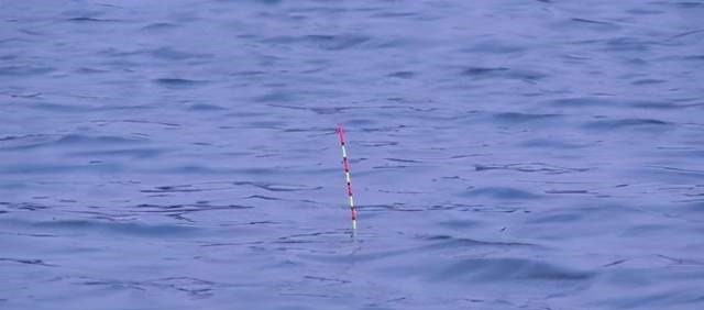 冬天|别觉得冬天气温低就不好钓鲫鱼,注意这几点,再冷的天也有鱼口