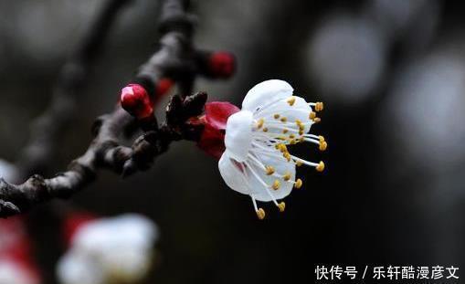 贵人|下周开始，好运连连，贵人大力扶持，收入多多，做梦都笑的属相