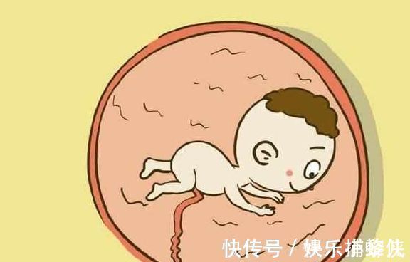 男宝|怀孕期间，孕妈有这3种症状，可能是怀的健康男宝，提前恭喜