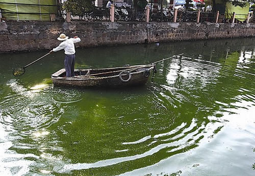 在农村大集上买的鱼有柴油味，这是为什么？有柴油味的鱼还能吃吗？