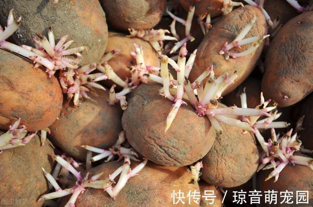 危害|家里有这5种变质东西,请抓紧丢掉,危害不亚于“酸汤子”,切记