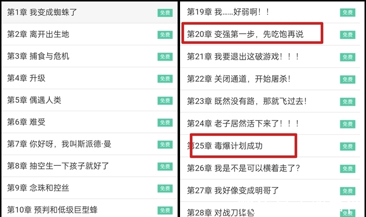 完结小说免费看