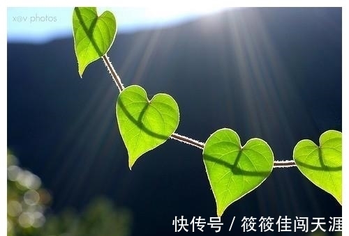 人工智能|6分钟读完《必然》:如何在日新月异的世界,找到发展的趋势