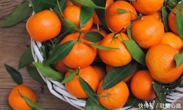 水果|立冬后,此水果之王,每天吃几个,清热解毒、减肥瘦身,早知早好