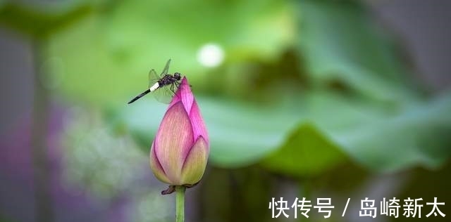 变机|易经：一个人，能定住自己的想法，万事可解