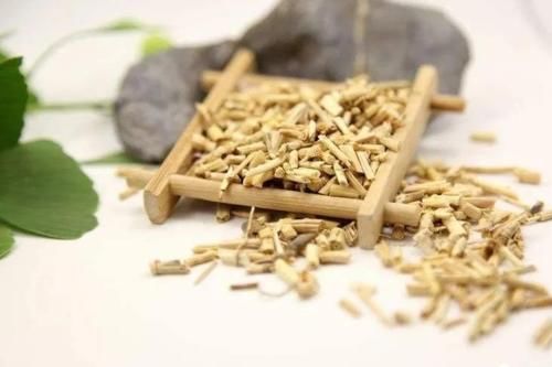 白茅|一味白茅根，能治6种病