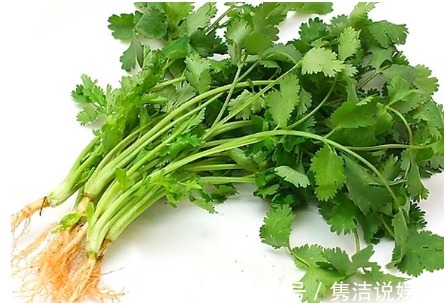 食用|香菜和它是天生的“敌人”,不能一起食用,可惜知道的人太少了!