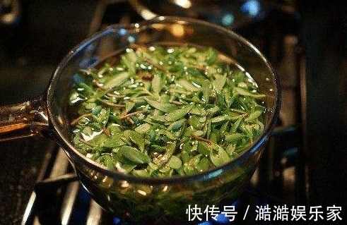马齿苋|经常用马齿苋煮水喝，不出半个月，4件好事或许会不请自来