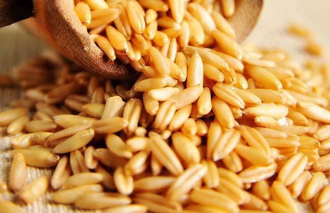 红薯|节食减肥不科学，7种粗粮吃的越多，身材反而更好，一个月就见效