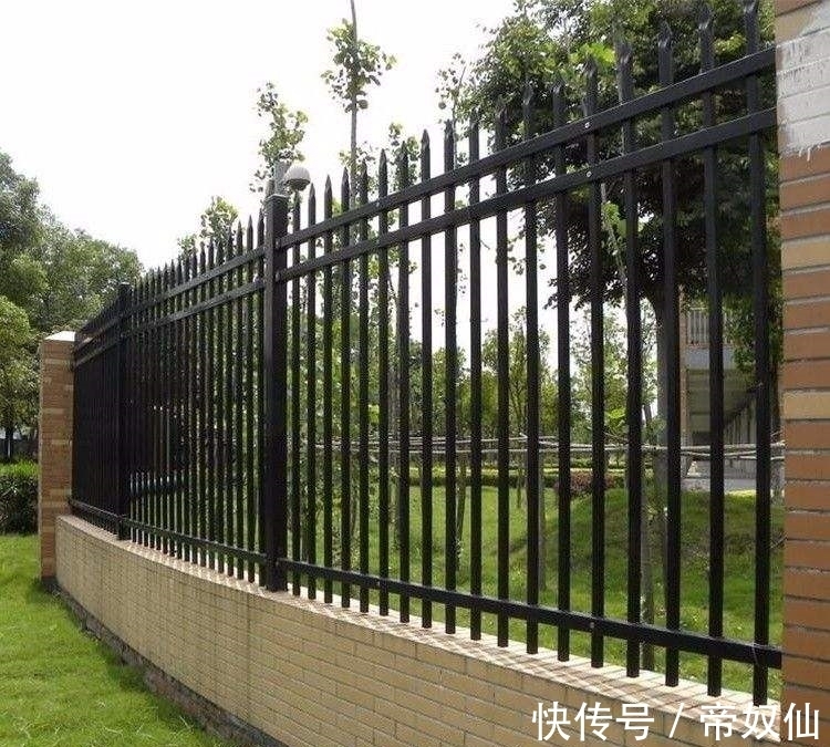 为何脑袋伸到栅栏里回不出来,专家经研究,说:这是穿衣针效应