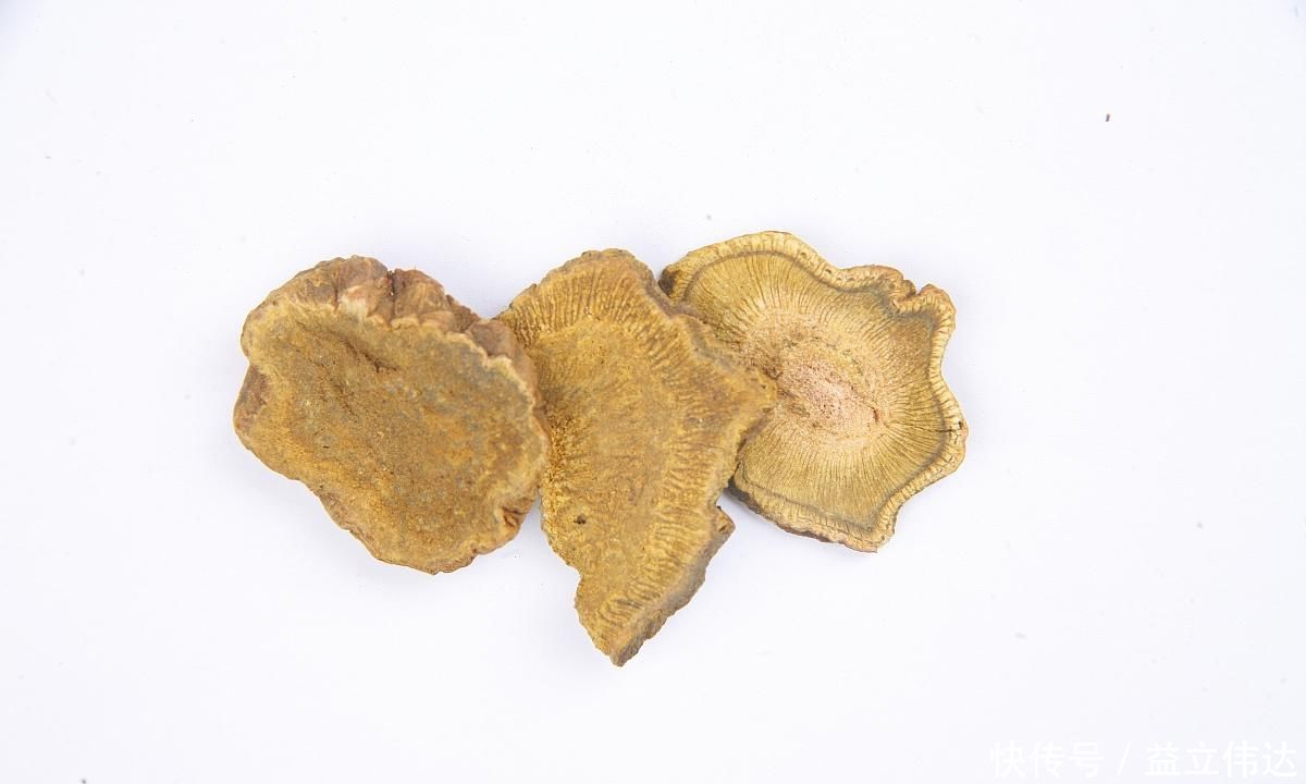 食积|一味被人严重低估其价值的良药,服之可促代谢、运脾胃、除湿气