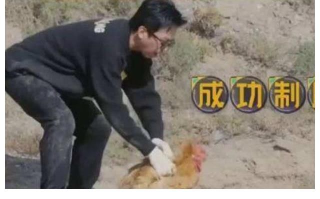 鄧超被五哈節(jié)目組整慘，不是追雞就是趕豬，稱以后不錄這樣的節(jié)目