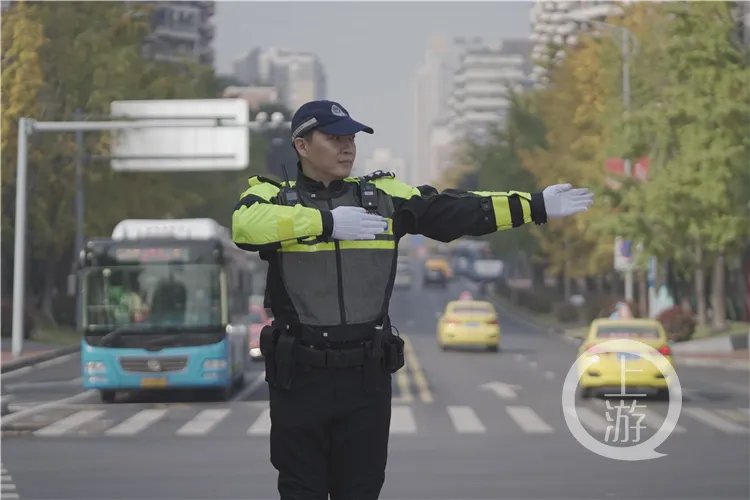 警犬|震撼！警队里那些“威震江湖”的十八般武艺