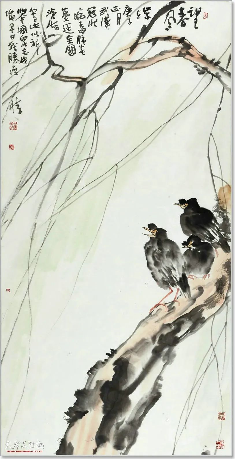 33cm|尹沧海教授八哥作品欣赏:融历代名家的绘画语言于一体