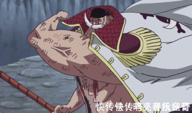 海军|海贼王10处很明显的“漏洞”,烧烧果实上榜,明哥被低估