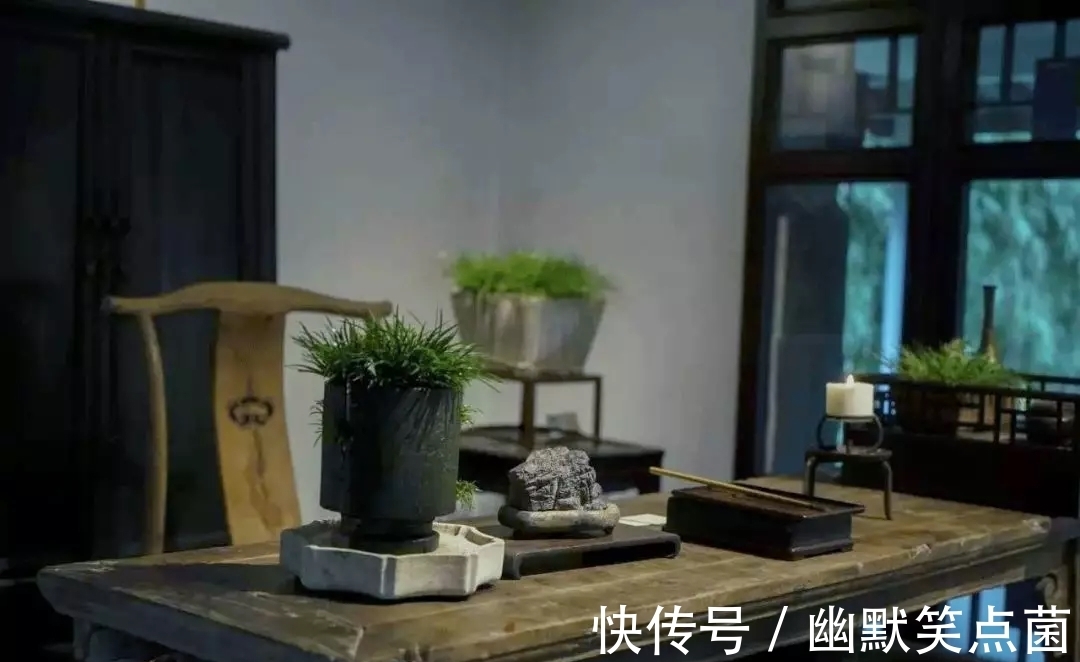 普通话|方言,正在死亡