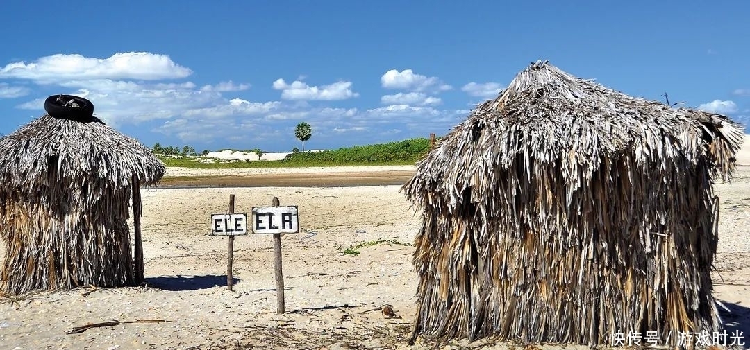 创意|全球最有创意的厕所给你自由