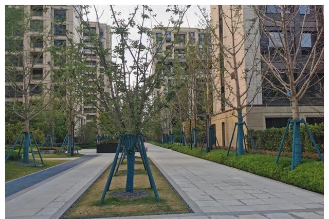 房价|不到一周的时间就降了53万,难道自己住的,涨跌真的没有关系吗