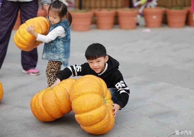 清新|植物园小清新之旅