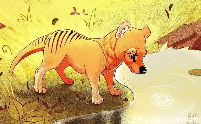 世界|奇幻世界中那些毛茸茸的小动物们