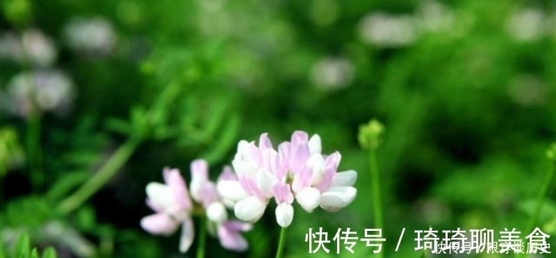 名篇$宋代最多情的高僧,写下一首感人的爱情词,最后几句写进了骨子里