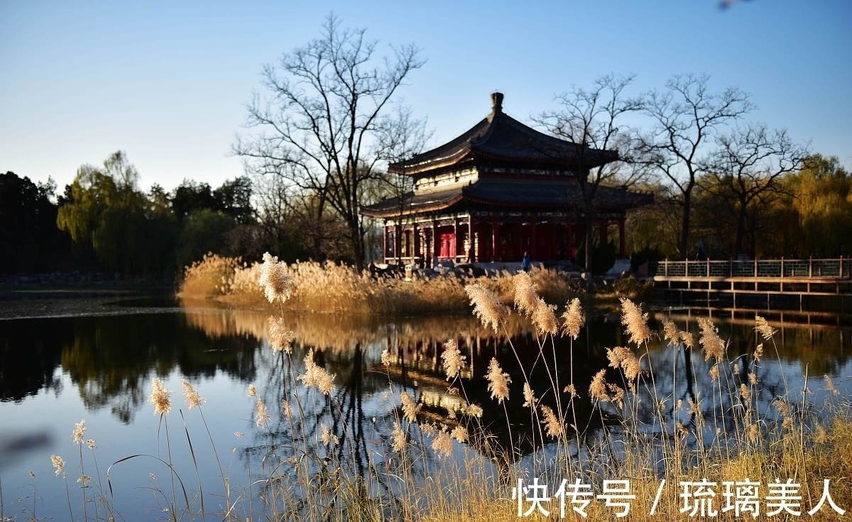 岁月静好&两首荻花秋诗词，一首静好，一首情深，你喜欢哪一首