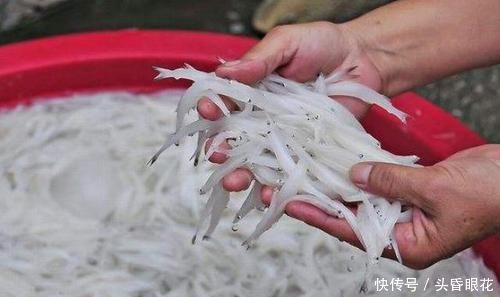 买鱼时,优先选择这6种鱼,肉多刺少营养也高,贵也要多给孩子吃