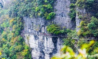 官湖村|这些小众旅游景点，可能没听过，但是值得一去