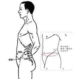 小肚腩|腰腹赘肉：藏着代谢不掉的湿浊垃圾！4个方法去除，你也可以！