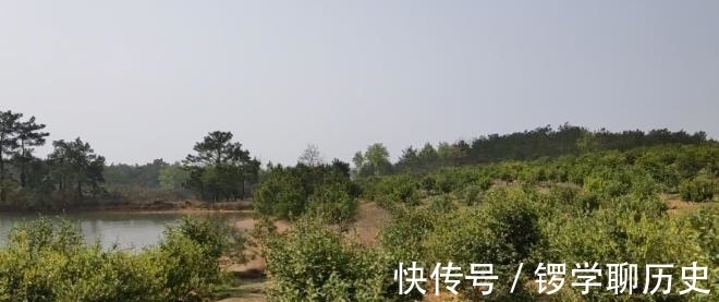 春光美|余老太去踏青，零距离感受大别山的风情，真是享受幸福和快乐啊！