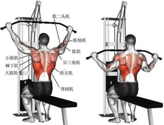 外斜肌|意大利健身博主，肌肉紧致，马甲线迷人，4个动作练同款女神身材