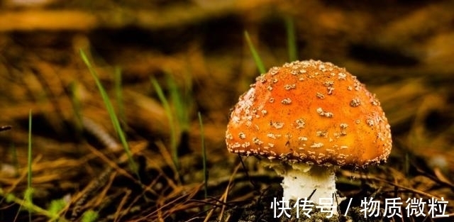 钱财|8月好运来、衰运走，钱财哗哗来，可算熬到头