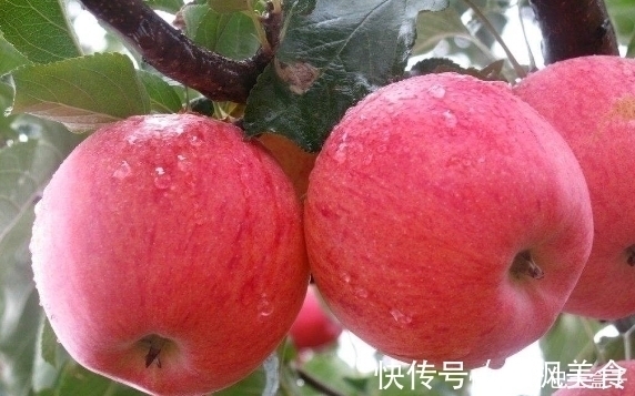 抗氧化物|晚上吃苹果,对健康是好还是坏?今天就一次性告诉你答案,了解下