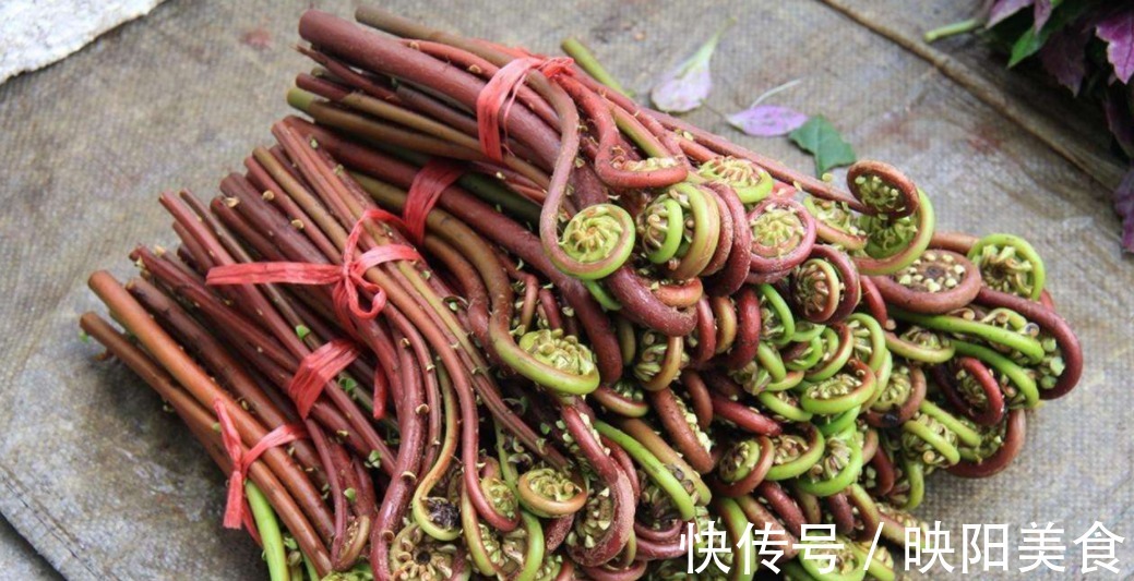 苦麻|妇科炎症是女性最头疼的问题,多吃4种野菜,有助于解决炎症困扰