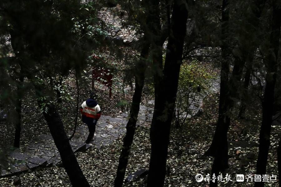 齐鲁壹点|壹图集丨立冬初雪飘，泰山红门别样美