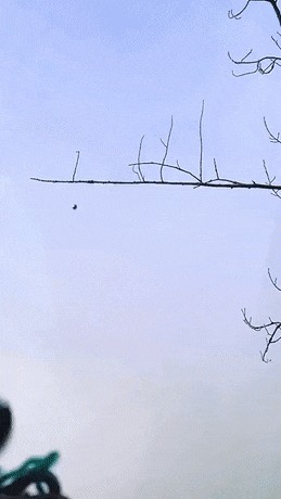 |搞笑GIF:美女有你这样吃饺子的吗,你家醋难道不要钱吗