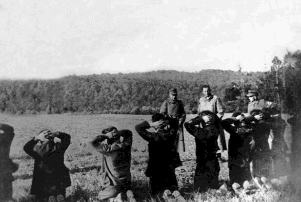 一分为二|二战法国被德国占领后一分为二,为何没有出现大规模游击战?