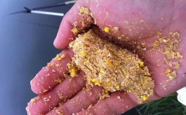 想要钓好鱼就要先打窝，如何做好窝才是决定渔获最关键的因素