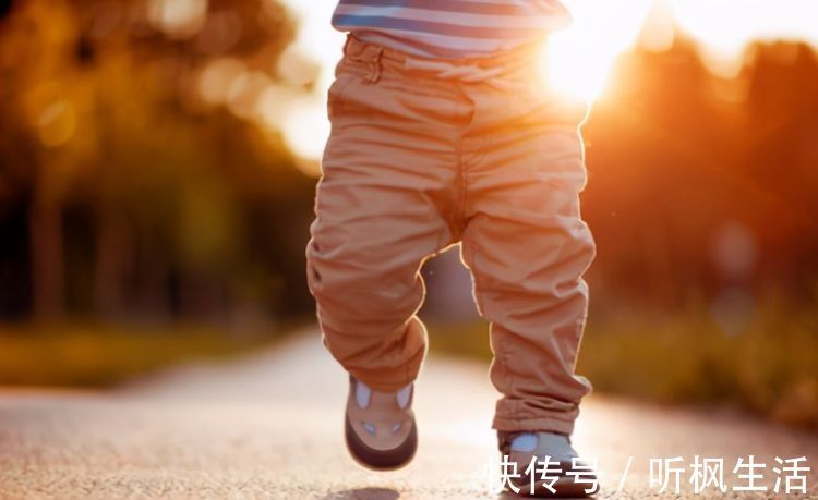 高低|宝宝走路早晚，多半“暗示”智商高低？儿科医生这样解释