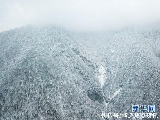 境内的官鹅沟国家森|银装素裹官鹅沟